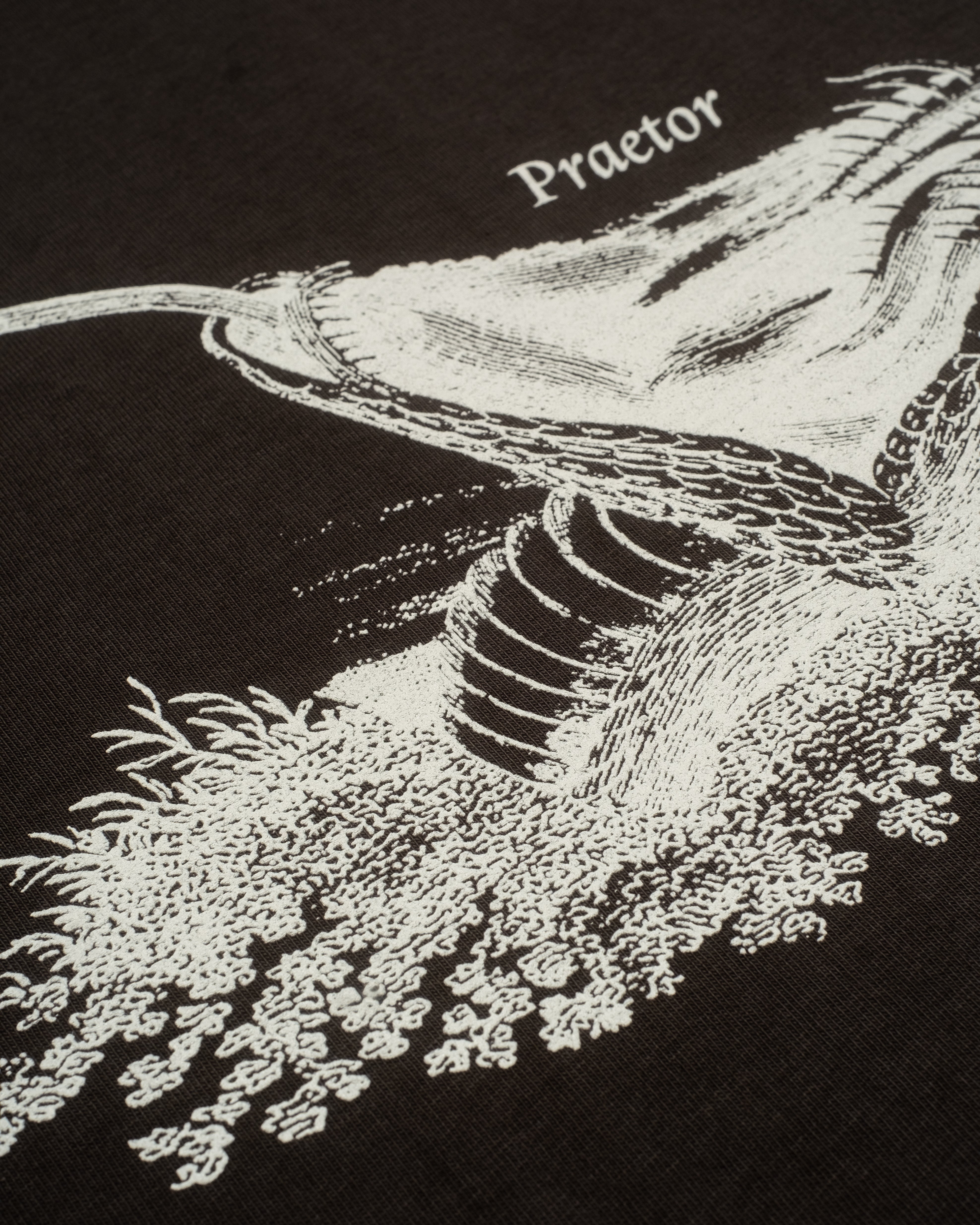 Rattle Organic Cotton Tee